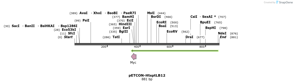 66417_map