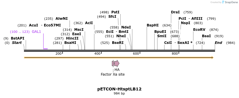 66418_map