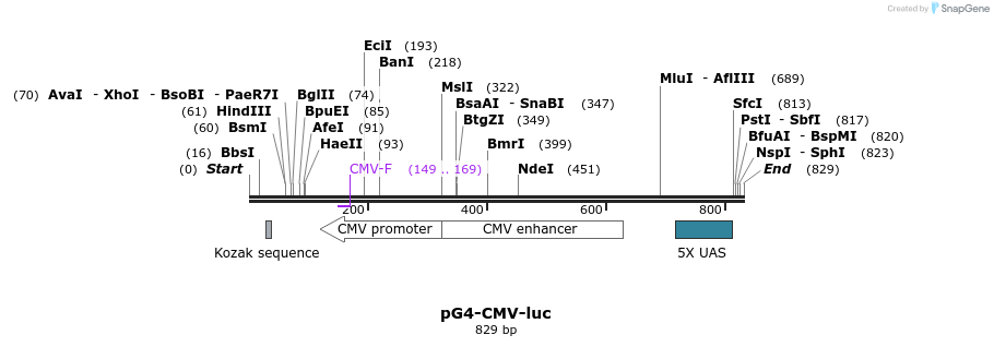 66419_map