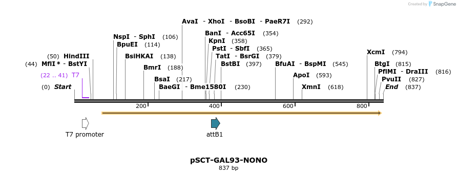 66425_map