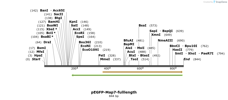 66426_map
