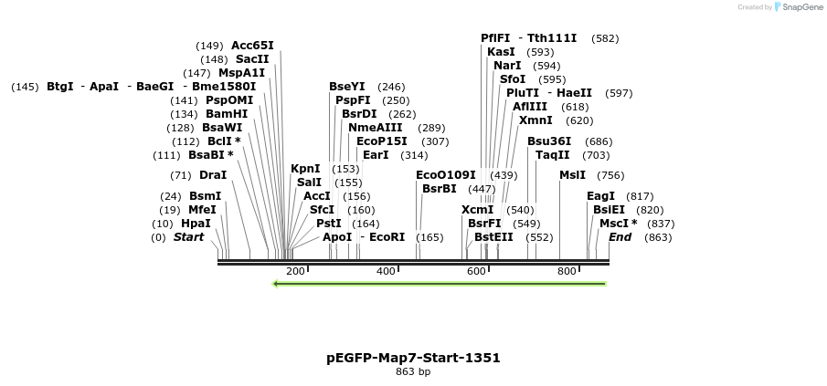 66427_map