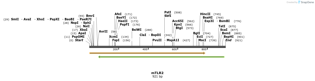 66436_map