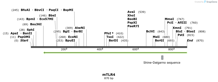66437_map
