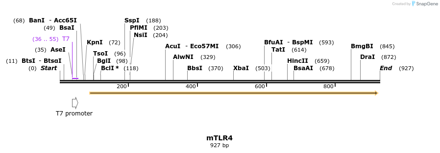 66438_map