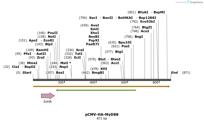 66441_map