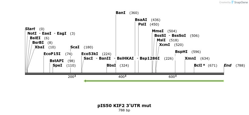 66442_map
