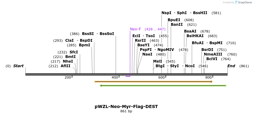 66445_map