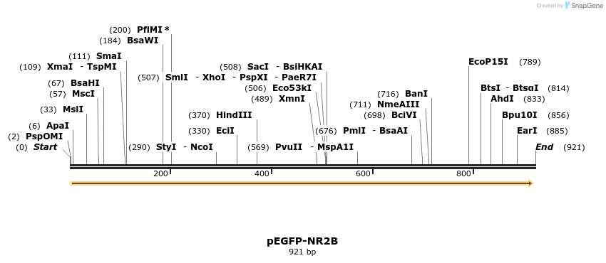 66448_map