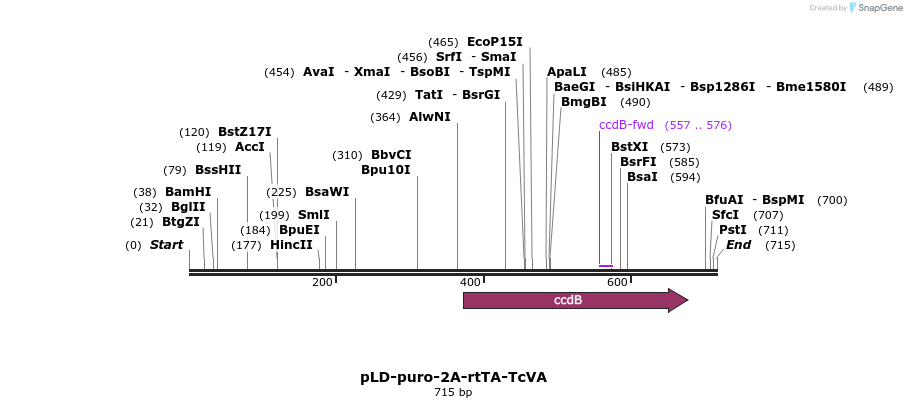 66451_map
