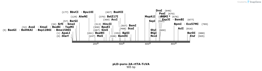 66452_map