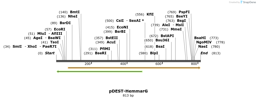 66457_map