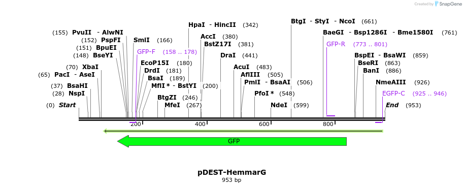 66458_map