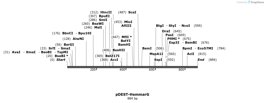 66460_map