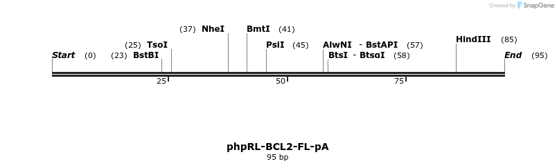 66461_map