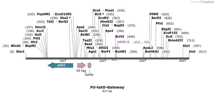 66464_map