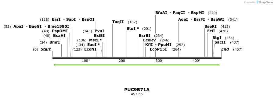 66465_map