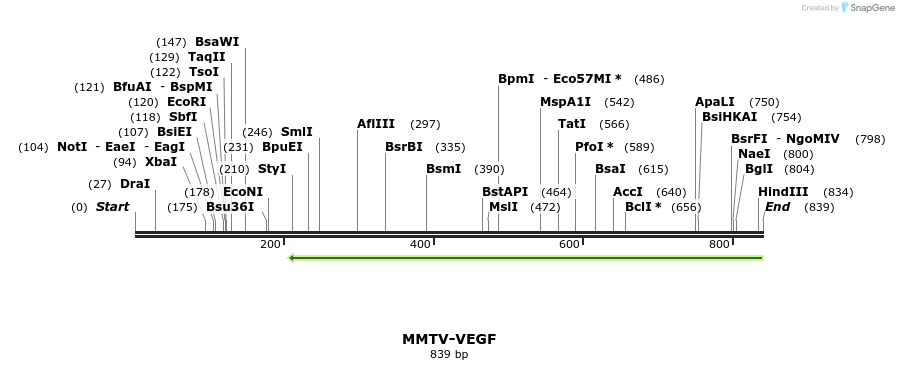 66466_map