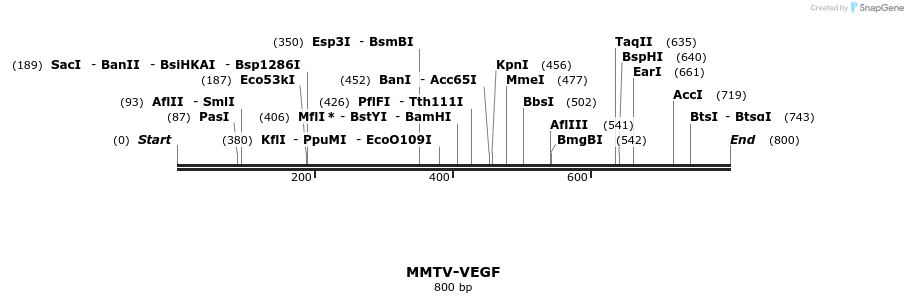 66467_map