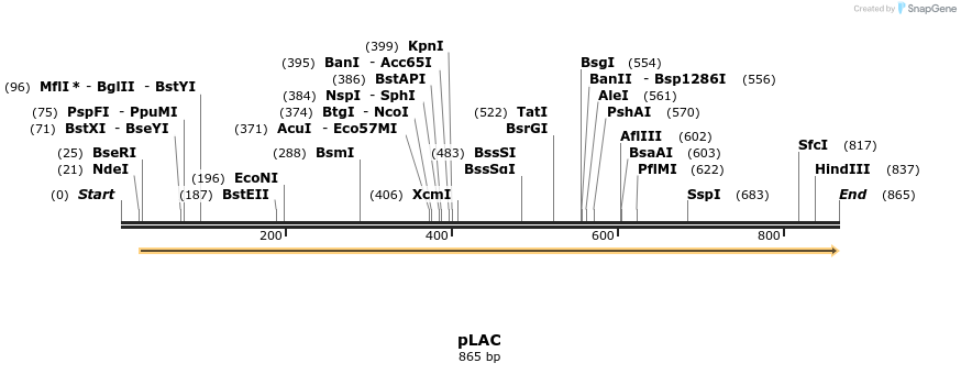 66474_map