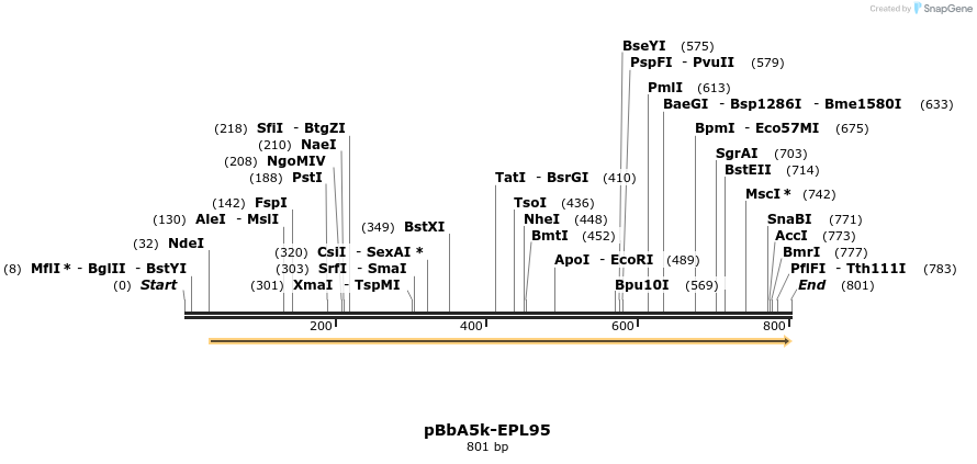 66478_map