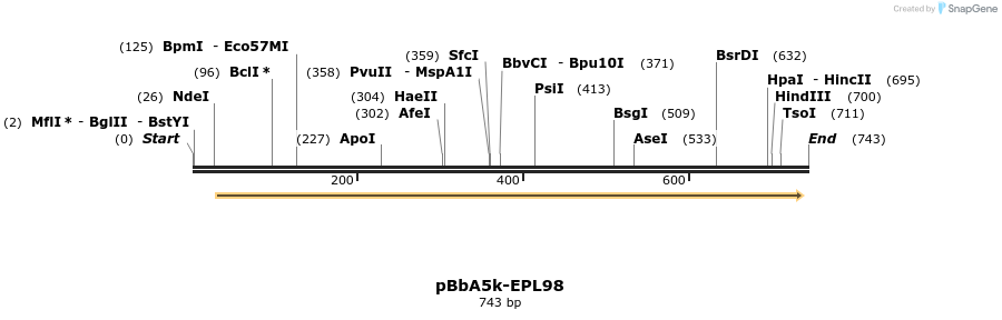 66479_map