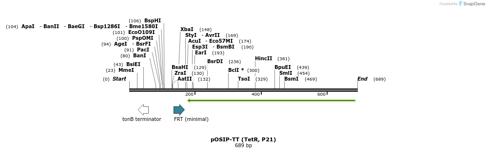 66481_map