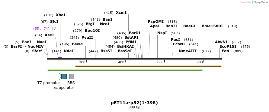 66483_map