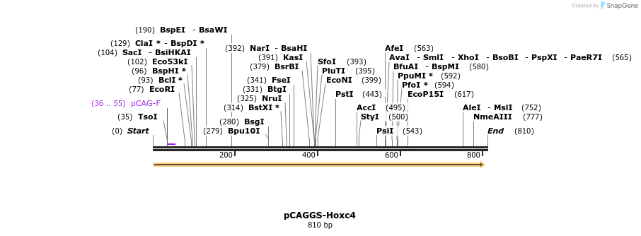66484_map