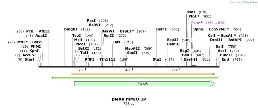 66485_map