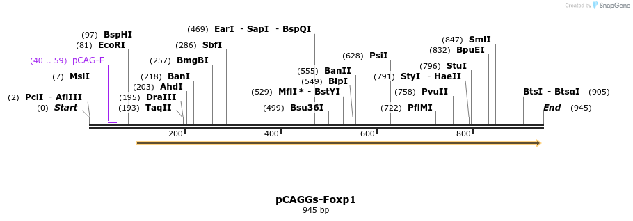 66490_map