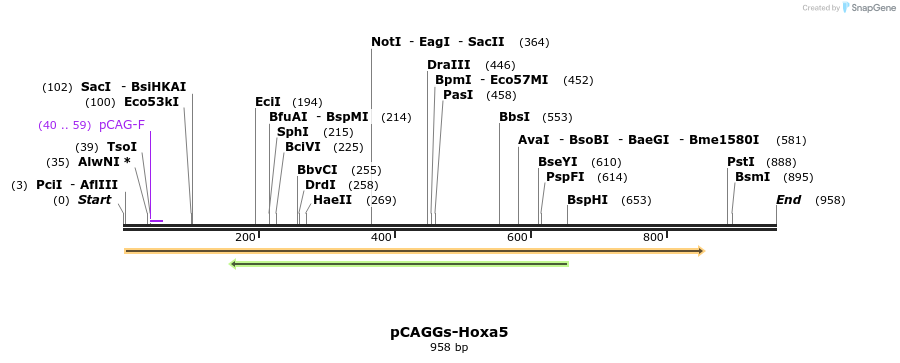 66494_map
