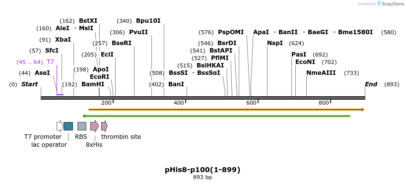 66496_map