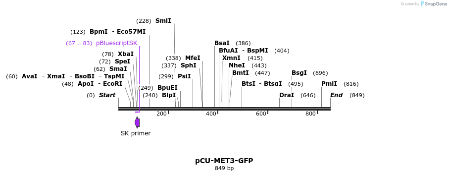 66501_map