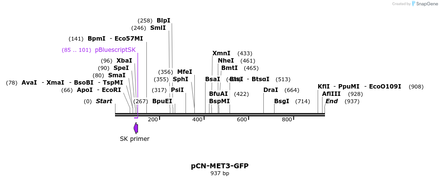 66503_map