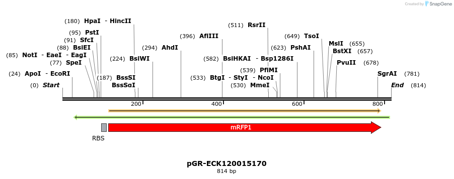 66504_map