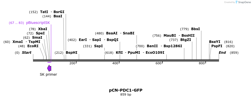 66506_map