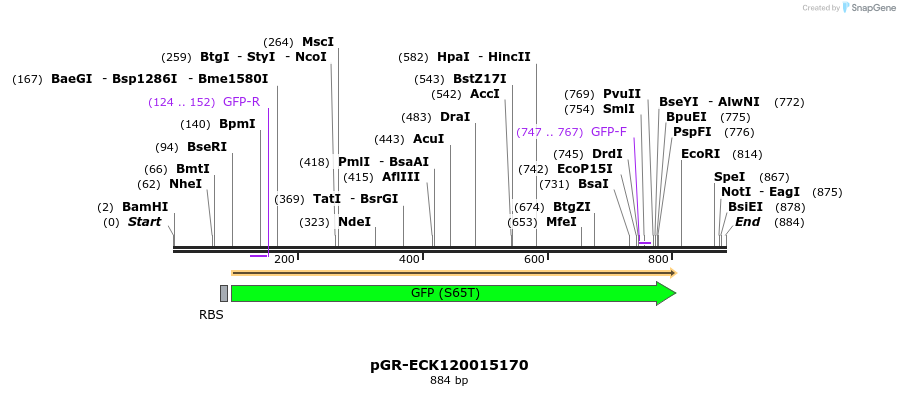 66514_map