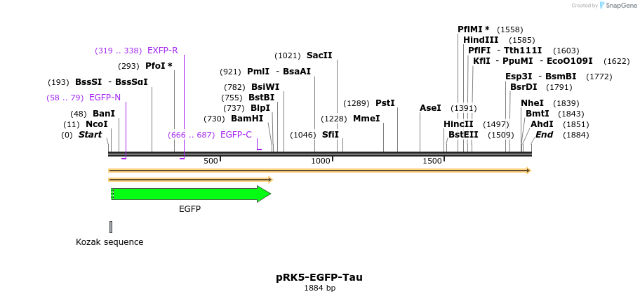 66537_map