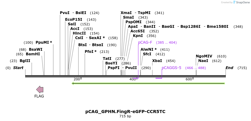 66544_map