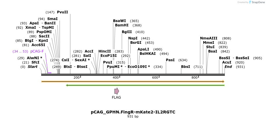 66545_map