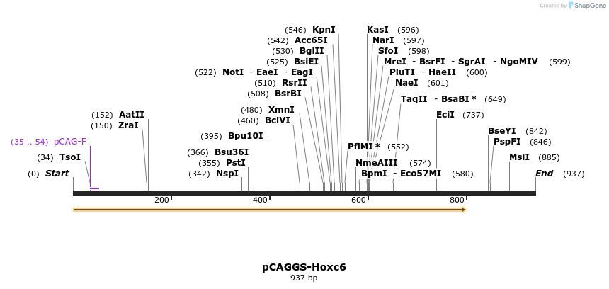 66548_map