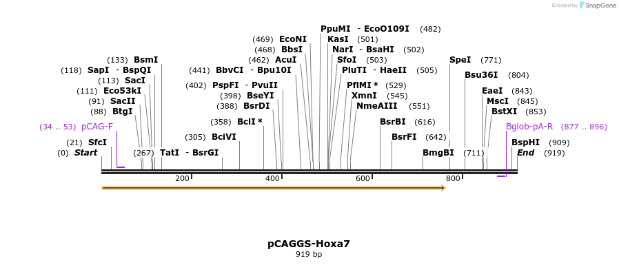 66550_map