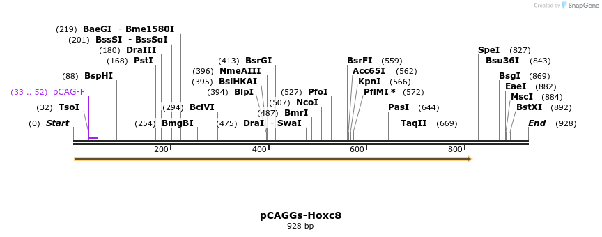 66551_map