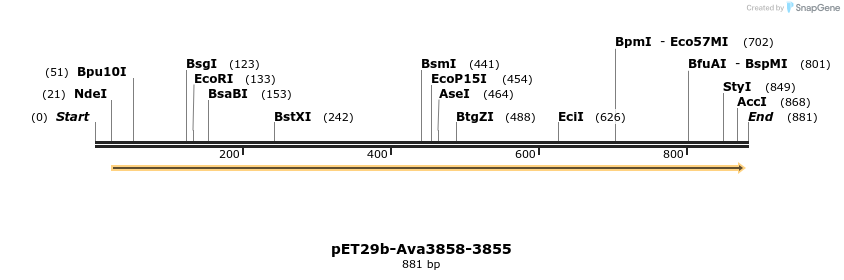 66559_map