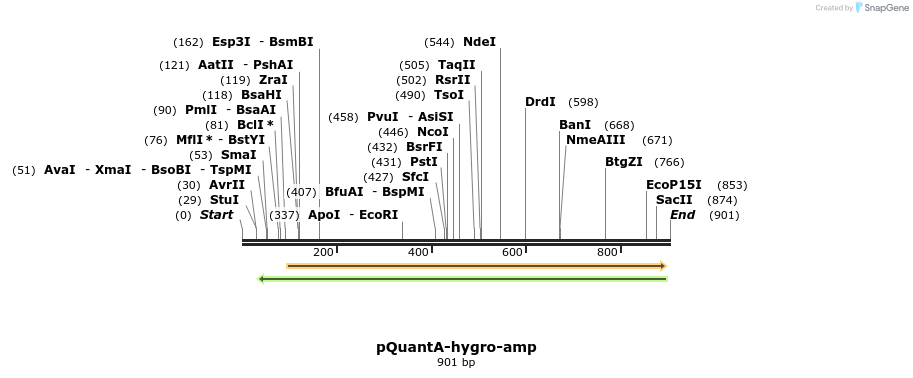 66560_map
