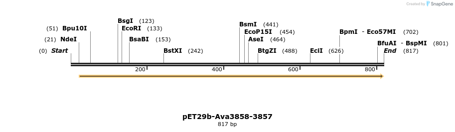 66561_map