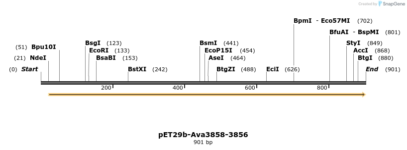 66562_map