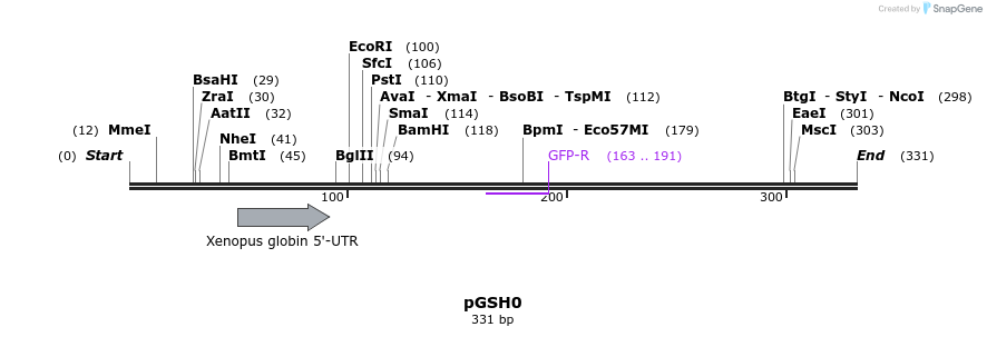 66564_map