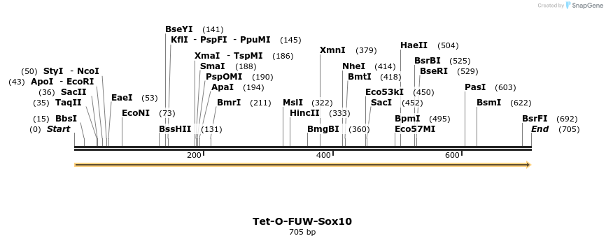66570_map